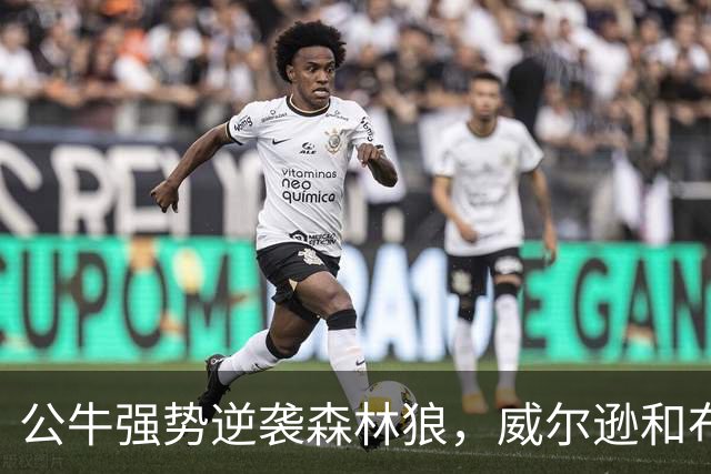 公牛强势逆袭森林狼，威尔逊和布泽利斯表现抢眼